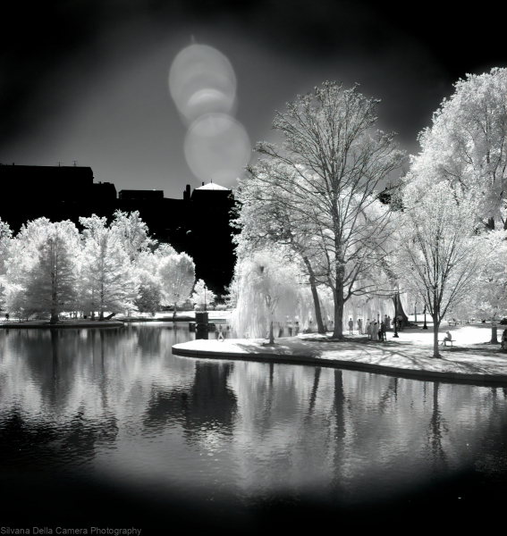 Boston-Public-Garden-1