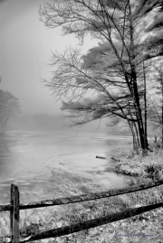 Winter-Fog