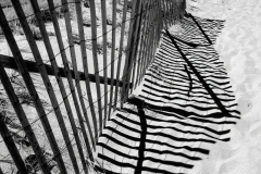 Cape-Cod-Snow-Fence