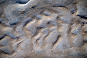 DZ93694