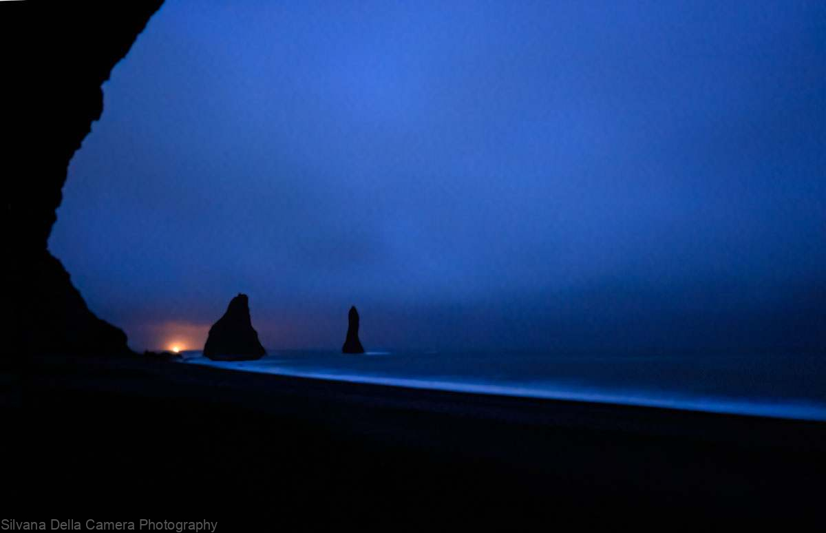 DSC_5253 DSC_5253