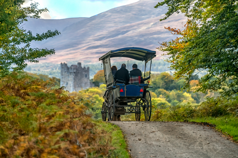 Jaunty-Cart-Ireland Jaunty-Cart-Ireland
