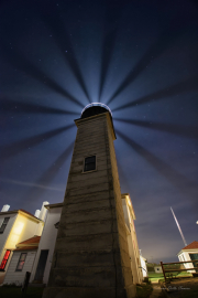 Beavertail-Light