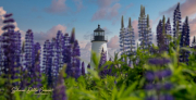 Lupines at Pemaquid Light