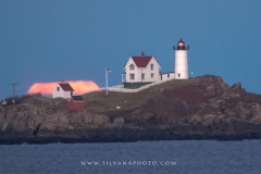 DSC7706.lin_ DSC7706.lin_