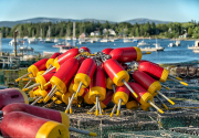 Maine-Lobster-Traps