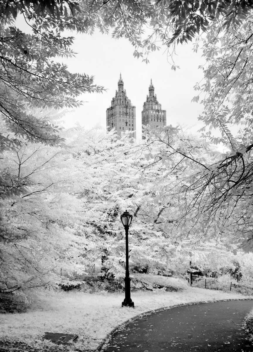 A-Walk-through-Central-Park