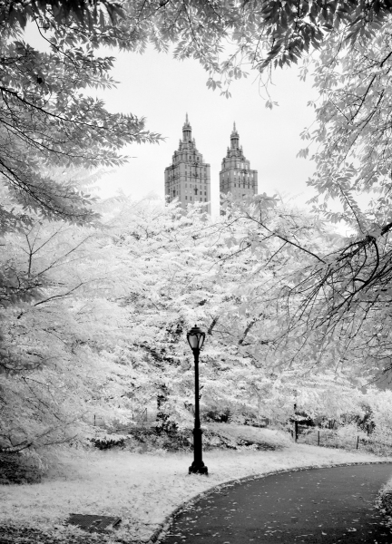 A-Walk-through-Central-Park