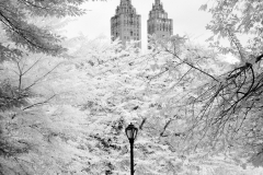 A-Walk-through-Central-Park
