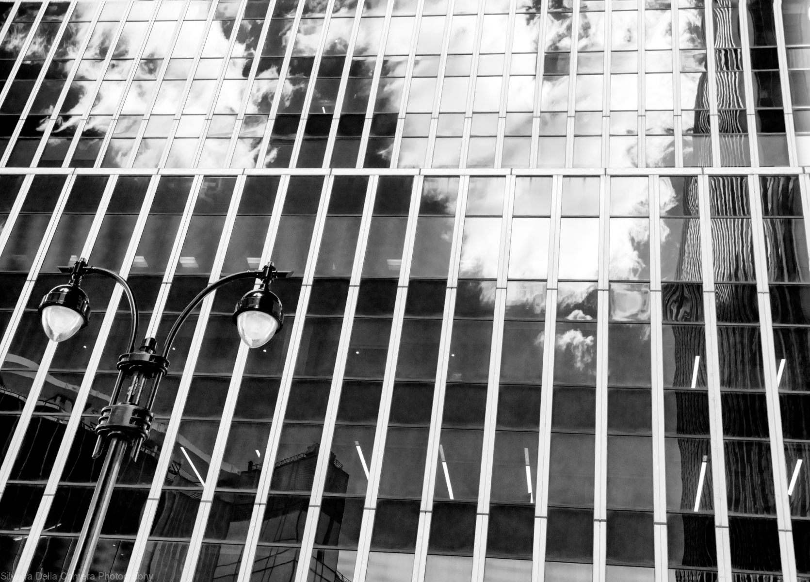 DSC3558 DSC3558