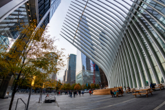DSC4141