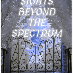 Sights Beyond the Spectrum - Digital Infrared Photography (eBook)
