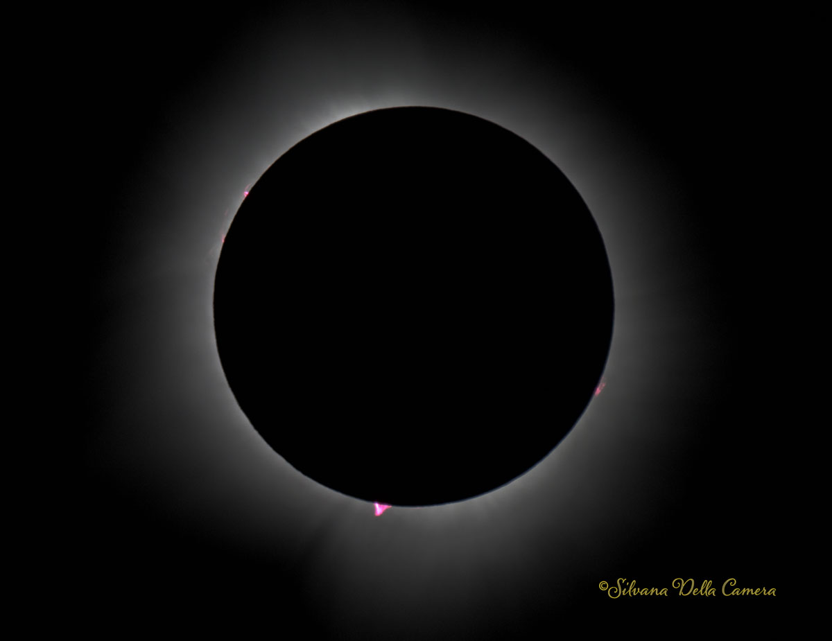Great North American Eclipse Prominences at totality