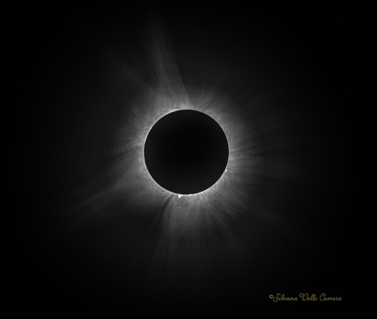 Great North American Eclipse Prominences at totalityGreat North American Eclipse