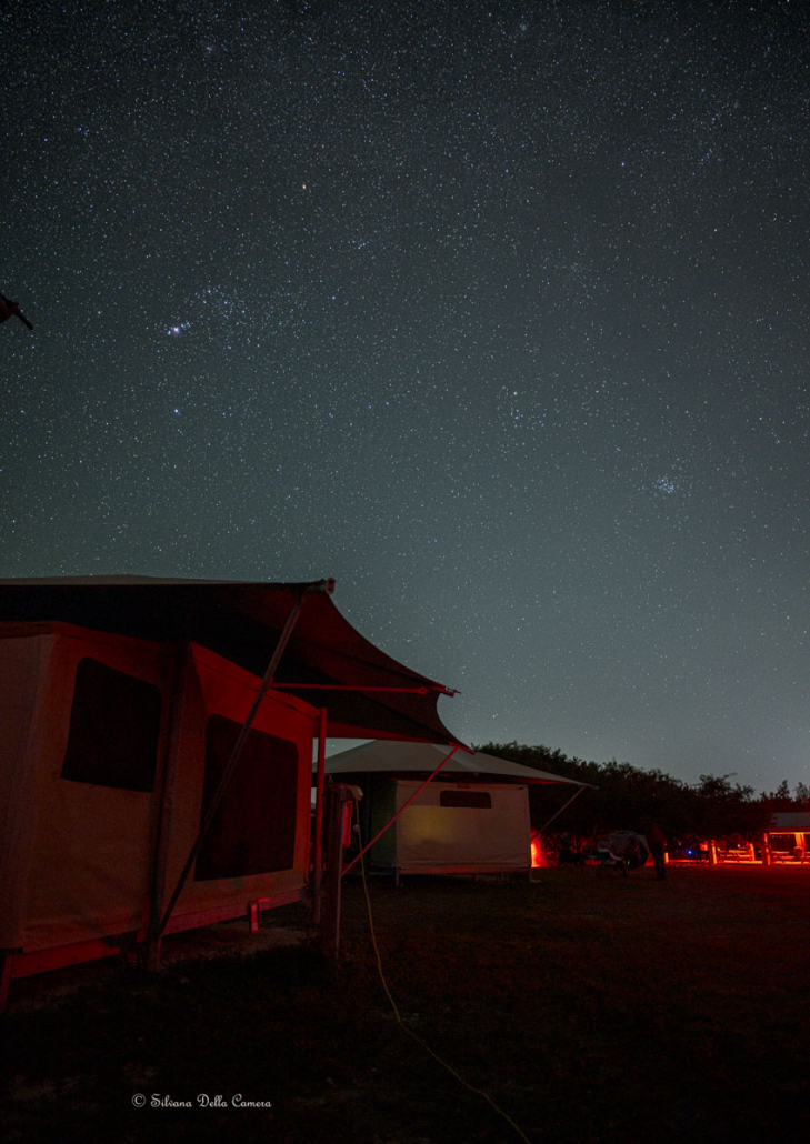 Stars at the Winter Star Party Florida Keys