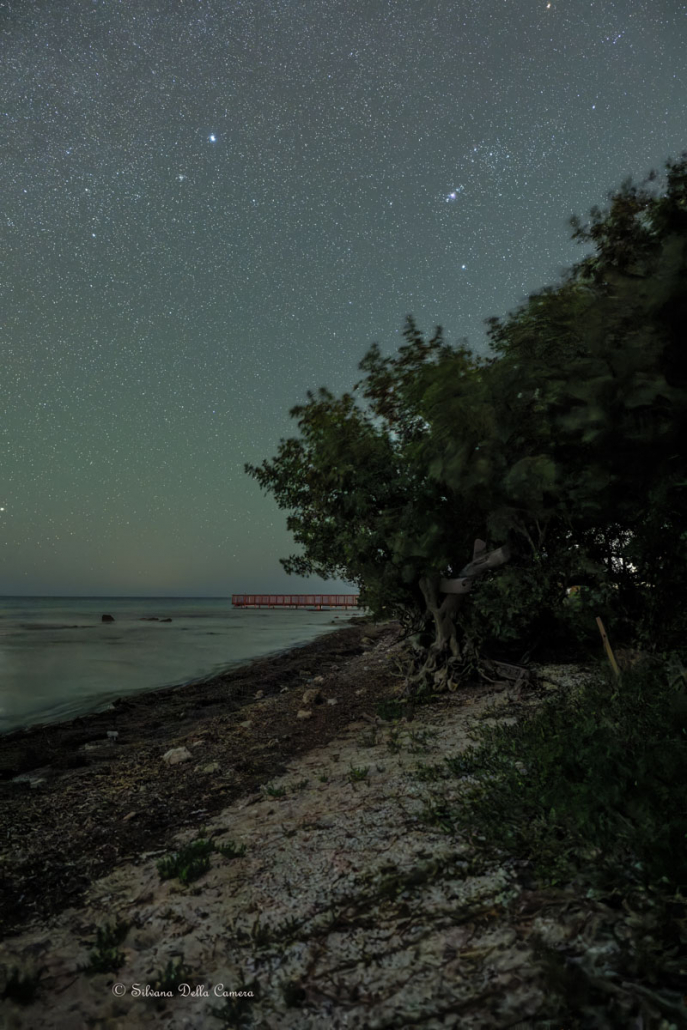 The constellation Orion and a beautiful beach