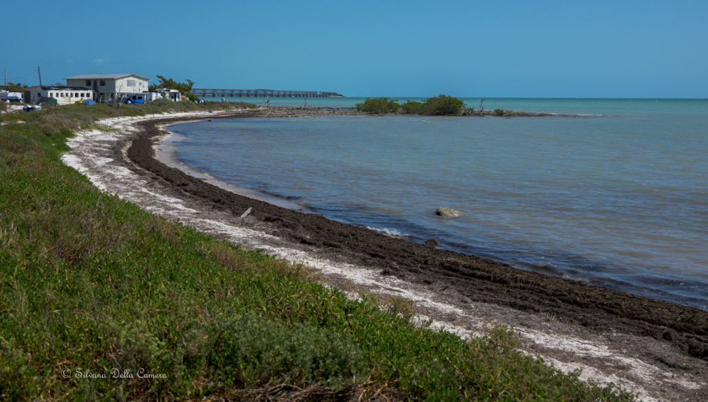 Daytime at the Winter Star Party Florida Keys