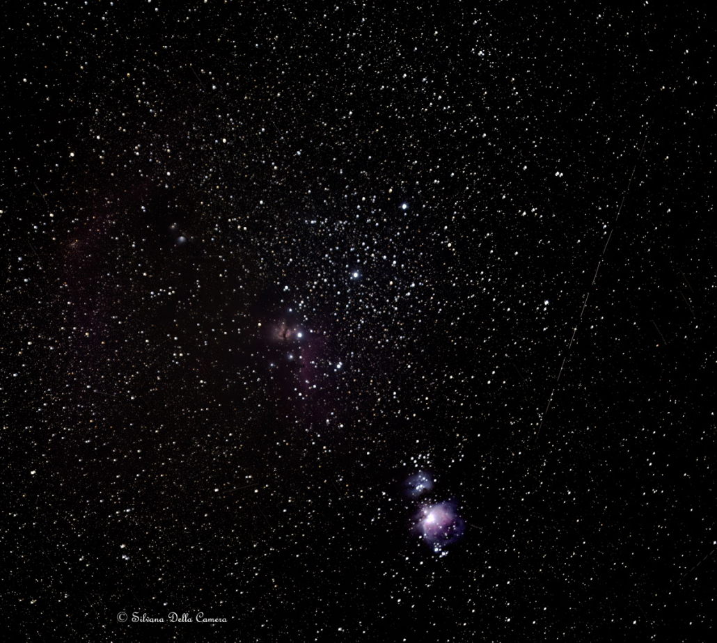 A view of the Orion and Horsehead nebulae. 